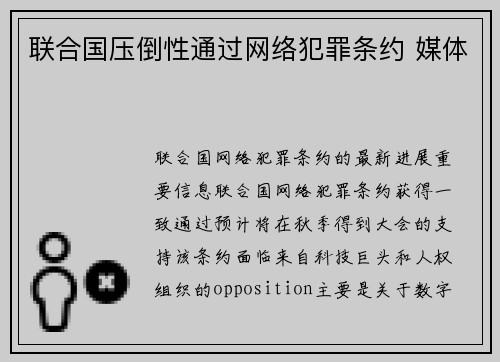 联合国压倒性通过网络犯罪条约 媒体