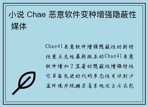 小说 Chae 恶意软件变种增强隐蔽性 媒体