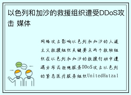 以色列和加沙的救援组织遭受DDoS攻击 媒体
